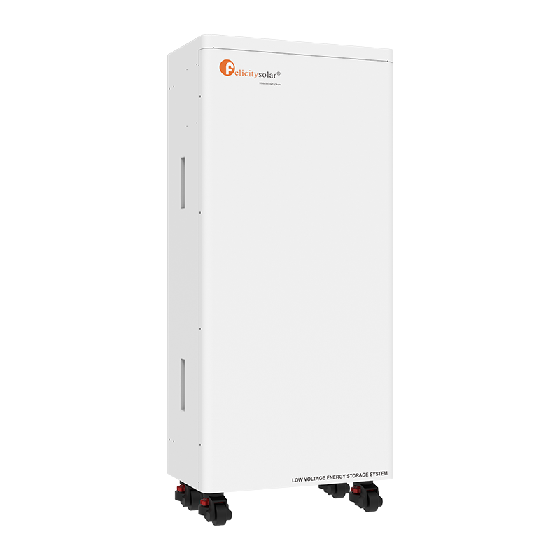 Batterie fer-phosphate-lithium FLA 15KWH 48V 300Ah